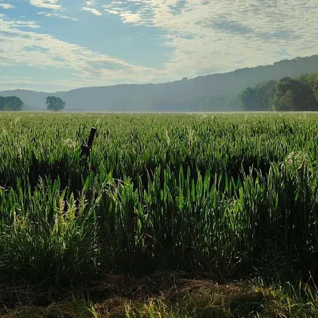Appartement Augenblick 2 *