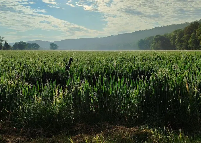 Apartman Augenblick 2 *